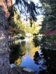 Autumn Pond