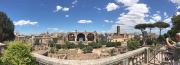 Panoramic