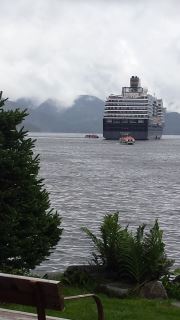 Westerdam