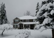 Winter Snow