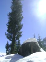 Snow Cap