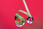 Raindrop