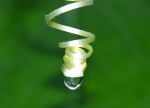 Raindrop