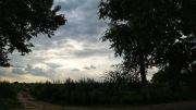 Rural View