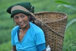 Beauty Of Women 