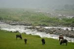 Beauty Of  Nature