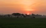 Libon Sundown