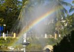 The Rainbow