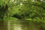 Green Lake