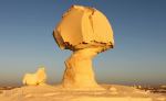 Chicken In The Desert