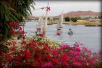 River Nile In Aswan