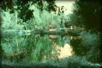 The Bower