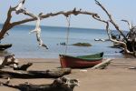 Boat On Beach