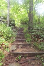 Steps In Nature