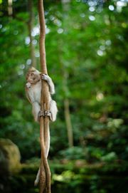 Creative Nature