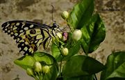 Nature Has Its Own Charm 