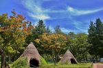 Native House