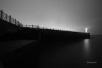 Sounds Of Night
