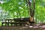 Natural Dining Table And Chair