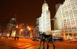 Bull In The City