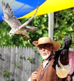 Hawk Trainer