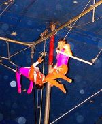 High Flyers