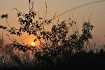 Magical Light Before Sunset