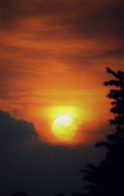 The Goldensun