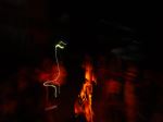 Fire Dance Vayanad