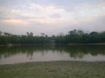 Pond