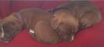 Sleeping