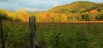 Fall In Wva