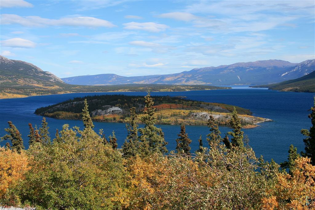 Bove Island On Tagish Lake