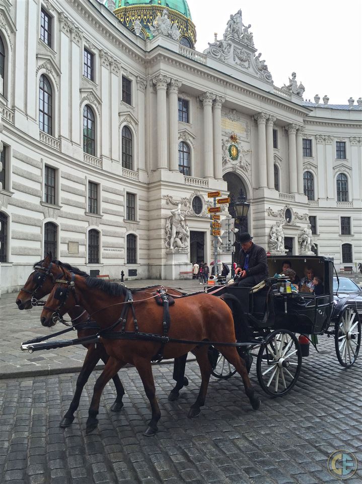 Vienna's Aristocratic Vibe