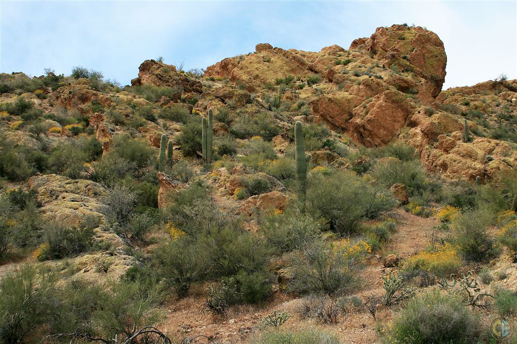 Apache Trail Desert Landscape