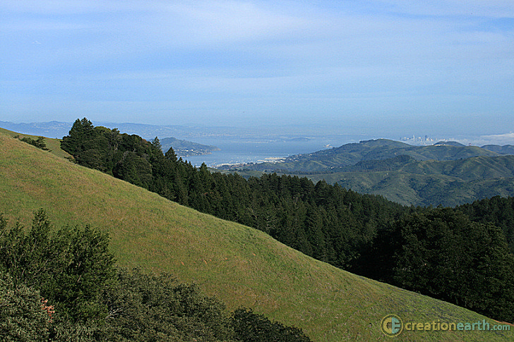 From The Top Of Mt Tamalpais