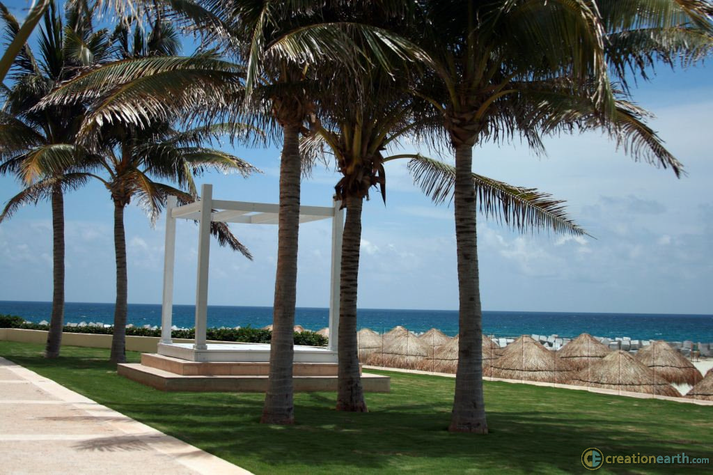 Cancun Resort