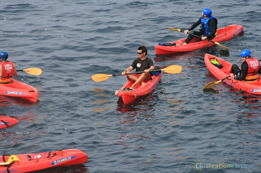 Kayaking In La Jolla