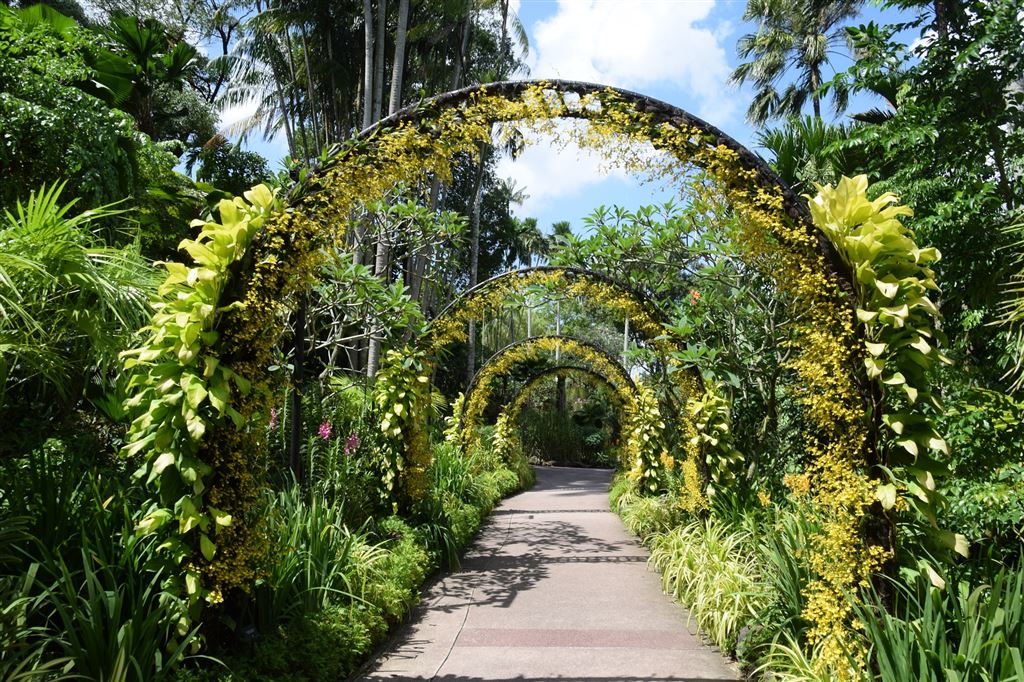 Singapore Botanical Gardens