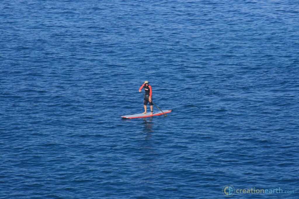 Stand Up Paddle Board Lone Man