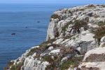 Peniche Coastline And Boats