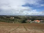 Alcobaca Countryside