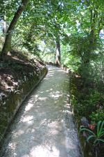 Quinta Da Regaleira Pathway