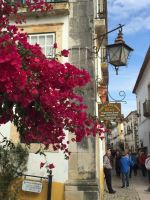 Obidos Flowers And Main Street