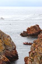 Berlengas Archipelago Fun
