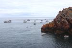 Berlengas Archipelago Boats