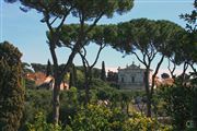 A Perspective From Palatine Hill