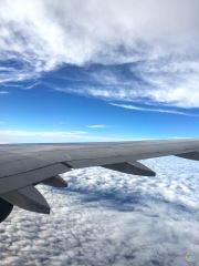 Airplane Wing Slicing The Clouds