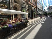 Beautiful Downtown Stockholm Among The Shadows