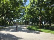 Beautiful San Martin Plaza